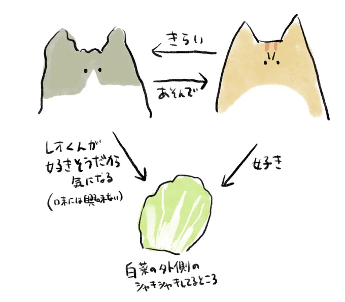 今日の雑日記です。最近の三角関係 