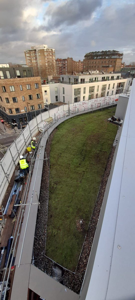 KeystoneRFL's tweet photo. Green roofing works completed at @RoundhouseLDN on behalf of @BorrasConstruct. Waterproofing materials sourced from @DANOSAUK
#greenroofing #flatroofing #construction #worksdone https://t.co/YSJ40YxQI7