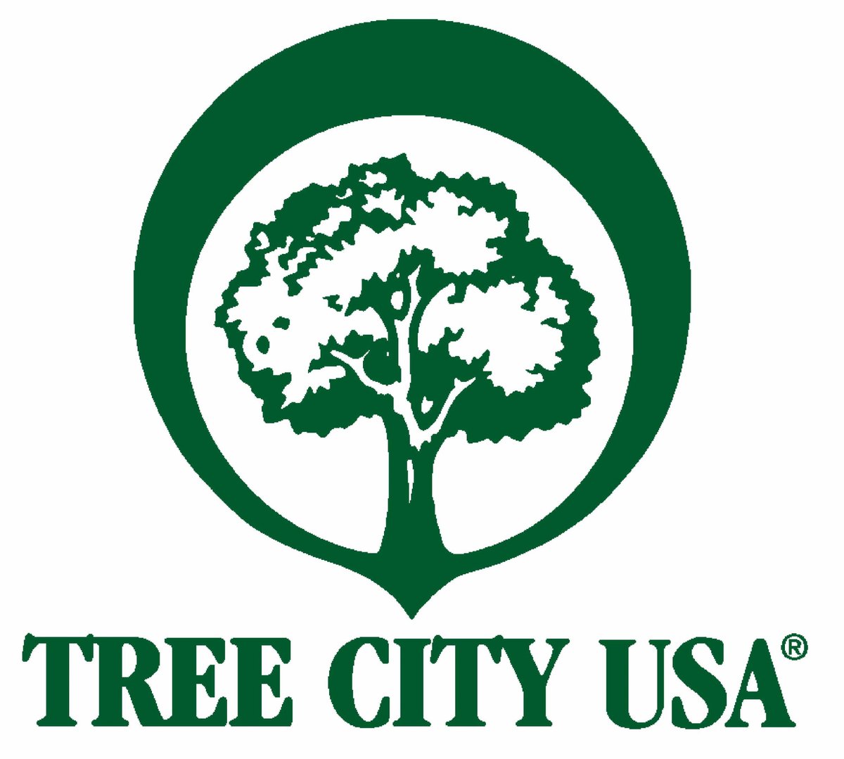 PalmettoBayVlg's tweet photo. We're happy to announce that the Arbor Day Foundation has named Palmetto Bay a 2022 Tree City USA! The Village planted over 200 trees last year as we work hard to keep Palmetto Bay green!

#WeLovePB #TeamPB #PalmettoBayProud #PBalwaysworkingforyou https://t.co/EoO8GEbHHE