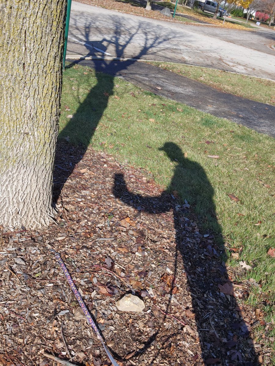 SuburbanLiberty's tweet image. Not speaking up is a way of saying "Ignore me. I don't mind being a shadow."  #coaching #selfcoaching #SpeakUp #talk #personaldevelopment #workplace