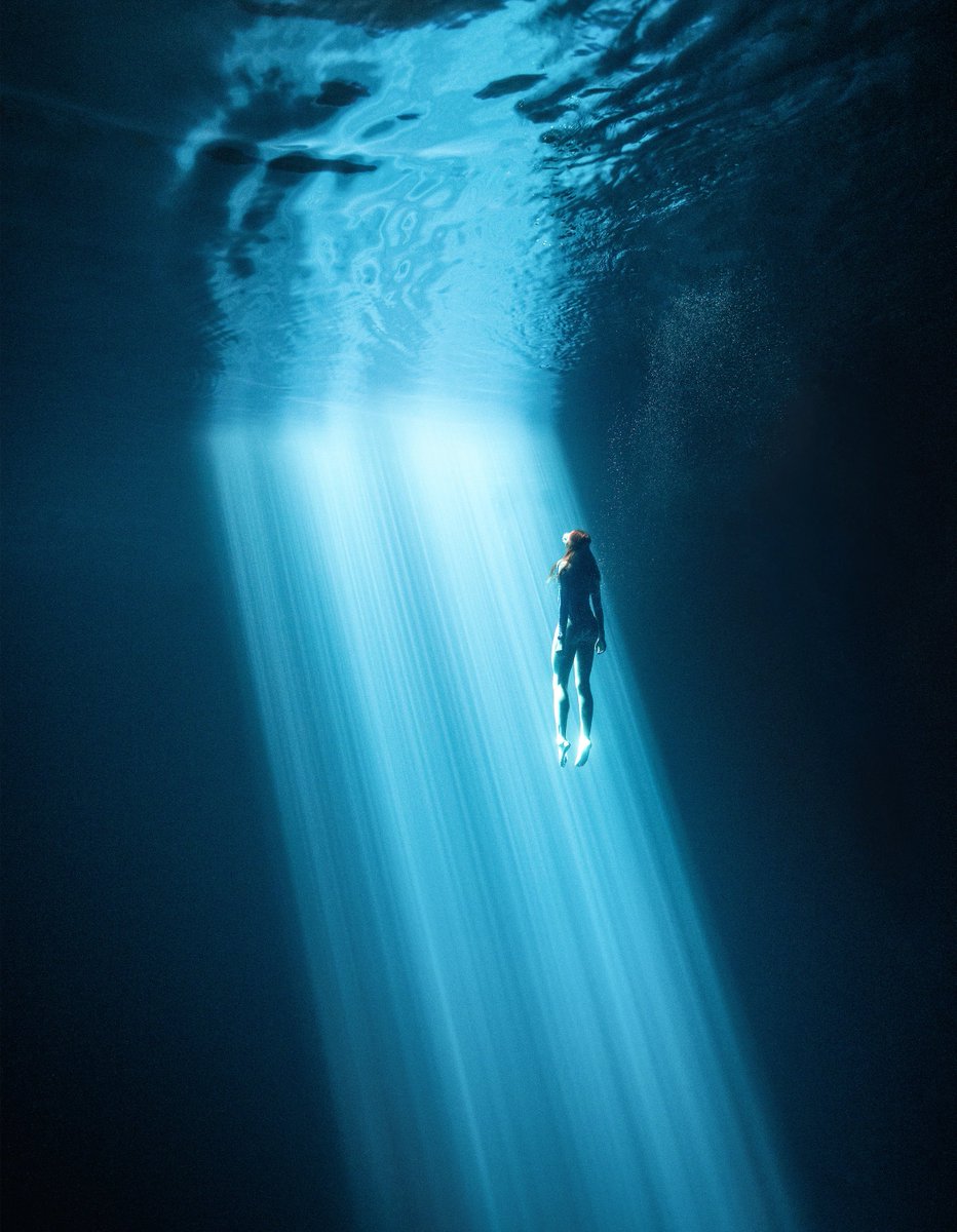 braybraywoowoo's tweet photo. gm from an underwater world https://t.co/DYsuOAL3Rn