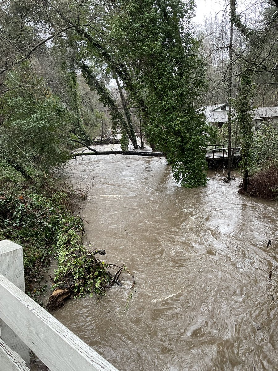 mrcrankyeditor's tweet photo. Highest I’ve ever seen Newell Creek at Glen Arbor Road bridge. Assuming Loch Lomond is over the spillway upstream but haven’t seen any official release from Santa Cruz Water Department on that yet. https://t.co/u6Ni2rwknh