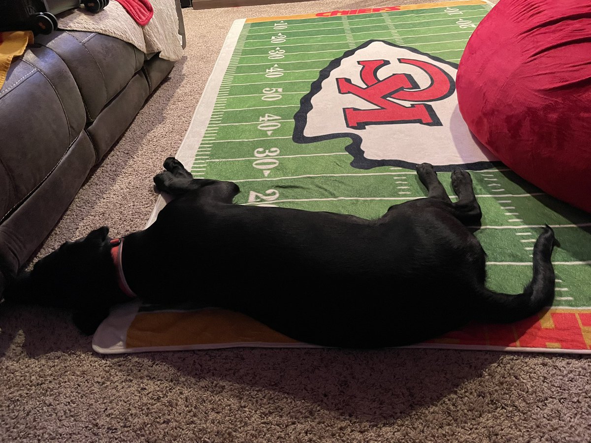 SUPERILES's tweet photo. #GEHASweepstakes 1st photo is me prepping for a game while I was in the Navy in Sigonella, Sicily. 2nd is my “Bear Cave” Chiefs shrine for away games. 3rd is tailgating with the Tailg8trs near gate 3. 4th is our dog Zino getting ready for a game in the bear cave. @GEHAField https://t.co/KhaIIN0jnH
