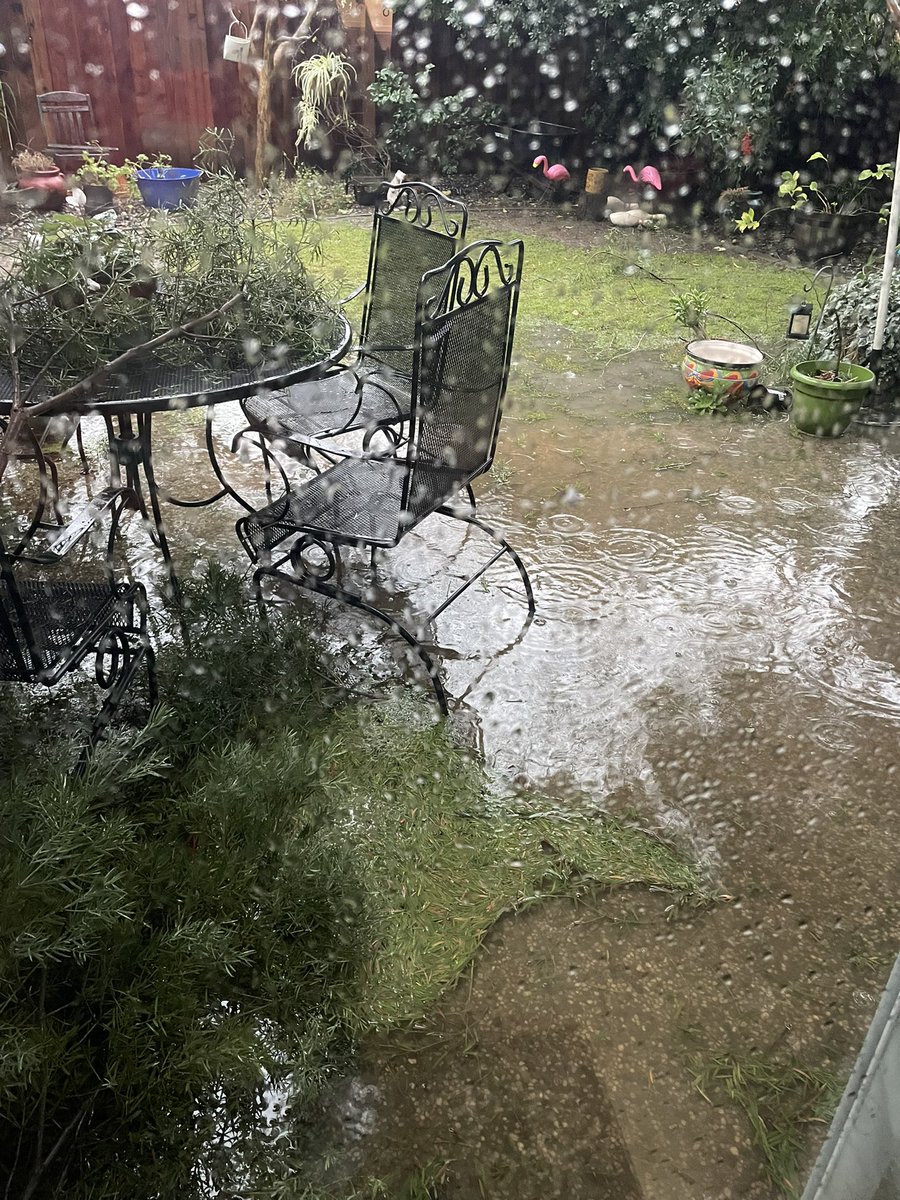 bananababe44's tweet photo. Probably don’t need to water until next summer. #hellastorm #Natomas https://t.co/qBtucPkpjh