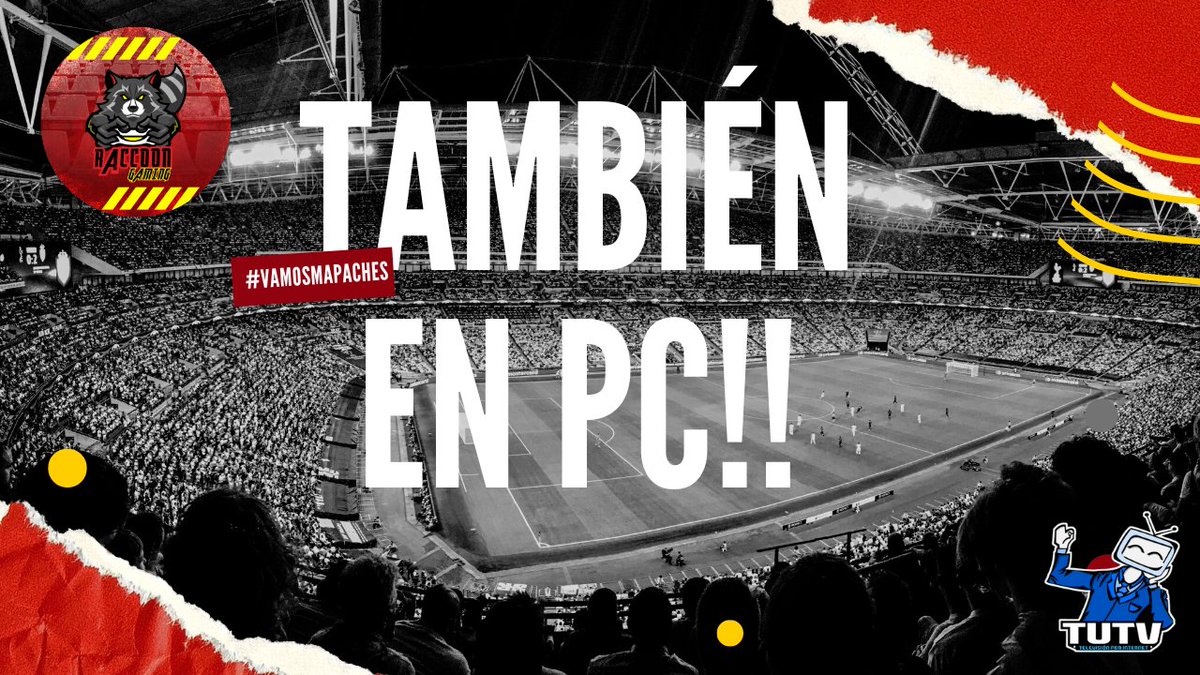 Raccoon Gaming tweet media