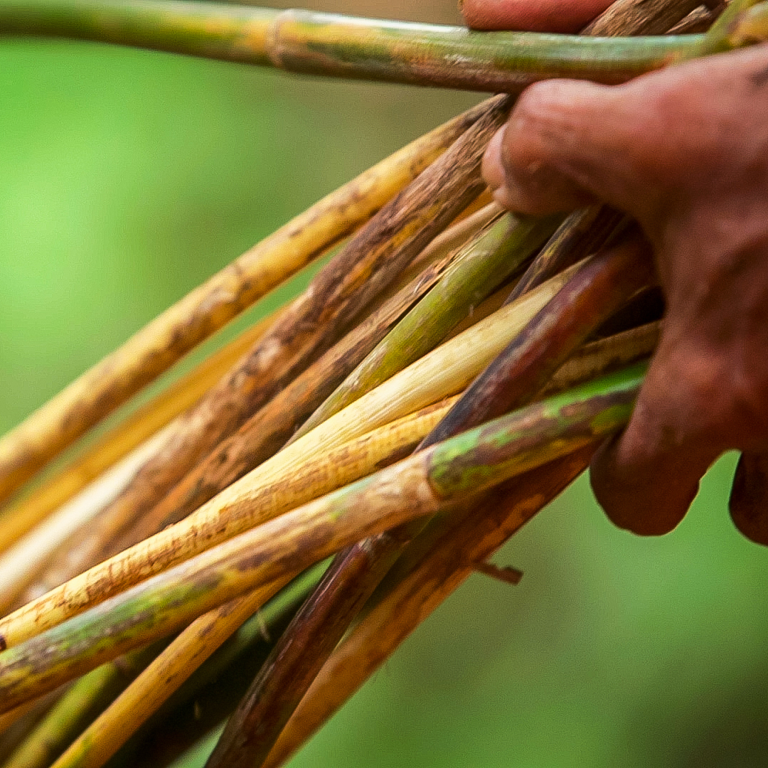 This is why a real rattan chair can cost over 1,000 Insider Business businessinsider