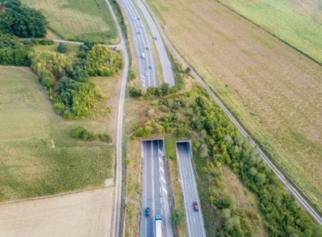 LGSpace's tweet image. Wildlife bridges and nature corridors can create much-needed connectivity to help plants and animals move between fragmented habitats. More of these please! (Photo from Switzerland via @WildlifeTrusts)