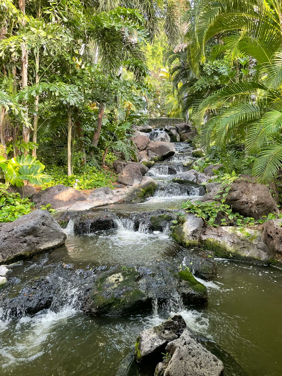 tracybeardwrite's tweet photo. I arrived on the big island of #Hawaii and walked by this gorgeous waterfall on the way to my room @FairmontOrchid. I’m excited about participating in Fairmont’s #allbeyondlimits program for the next five days. #luxurylifestyle #travelwriter @FairmontHotels #LuxuryTravel https://t.co/xbR6cUhC0F