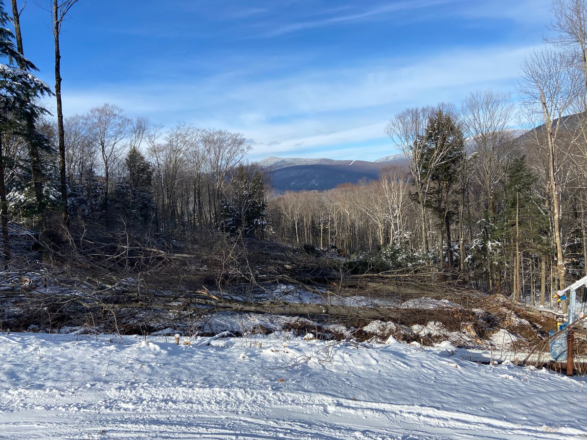 steveloynd's tweet photo. New Trails being cut on Loon's South Peak Side. Lifts, homes and condos all slated to be done.#loonmtrealtor https://t.co/FPXwOSBqJ3