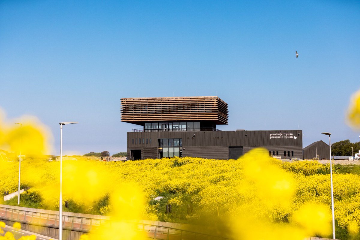 Biense Dijkstra @DijkstraDraisma tweet media