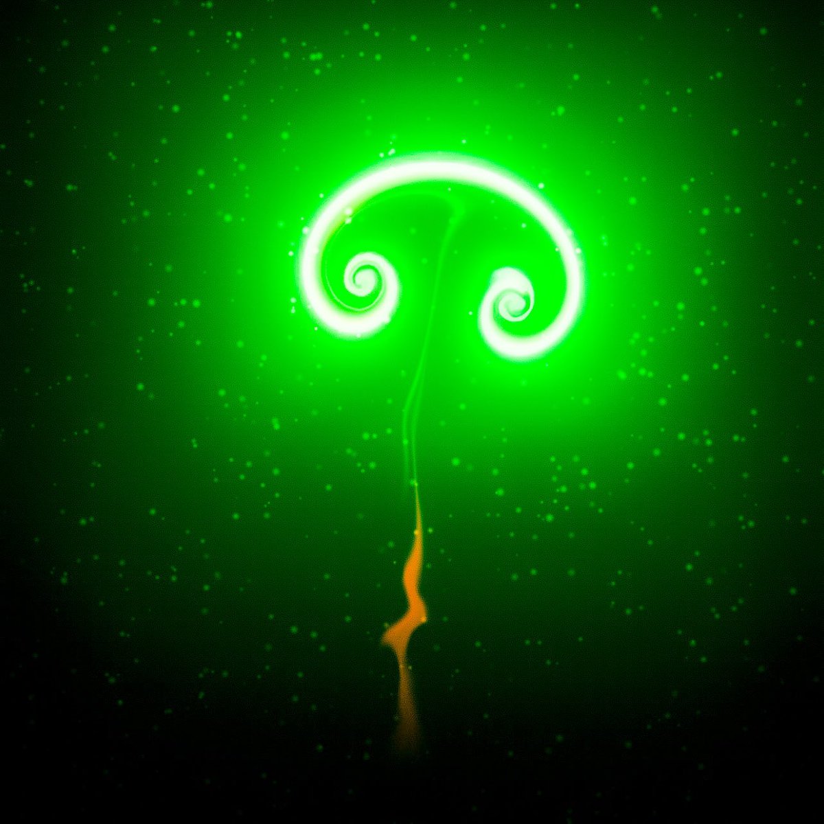 New year, new theme, new time slot!!

You can hear me at 18:00-19:00, this Thursday, only on roomradio.live 

Join me for an hour of #house, #techno and #trance!