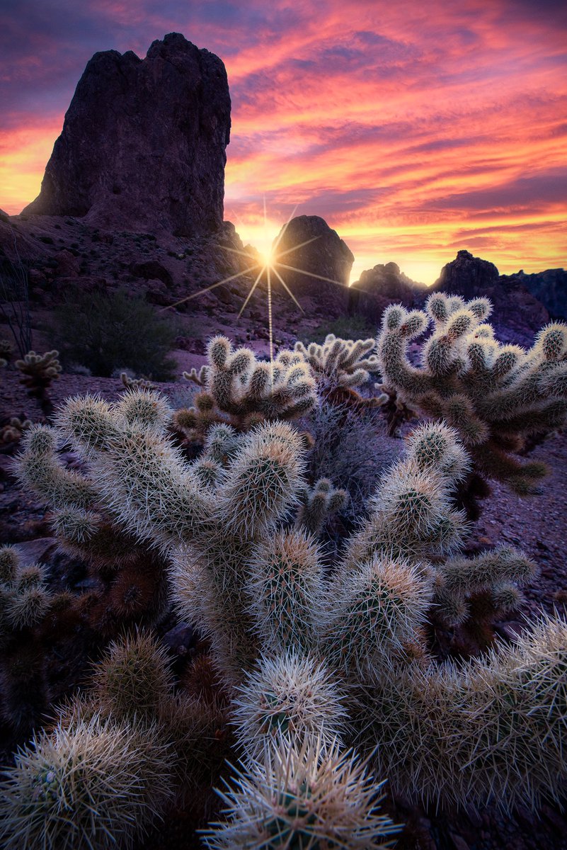 ✞ Daniel tweet media