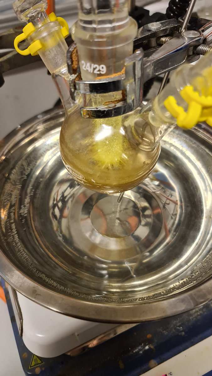 Caroline Knapp tweet media