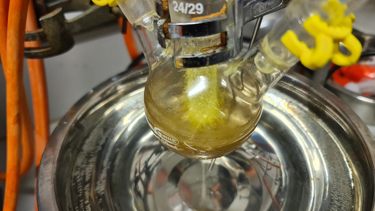 Caroline Knapp tweet media