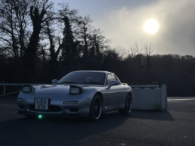 Spent some time today just enjoying the rex. Don&rsquo;t worry I also took photos of boobs x https://t.co/