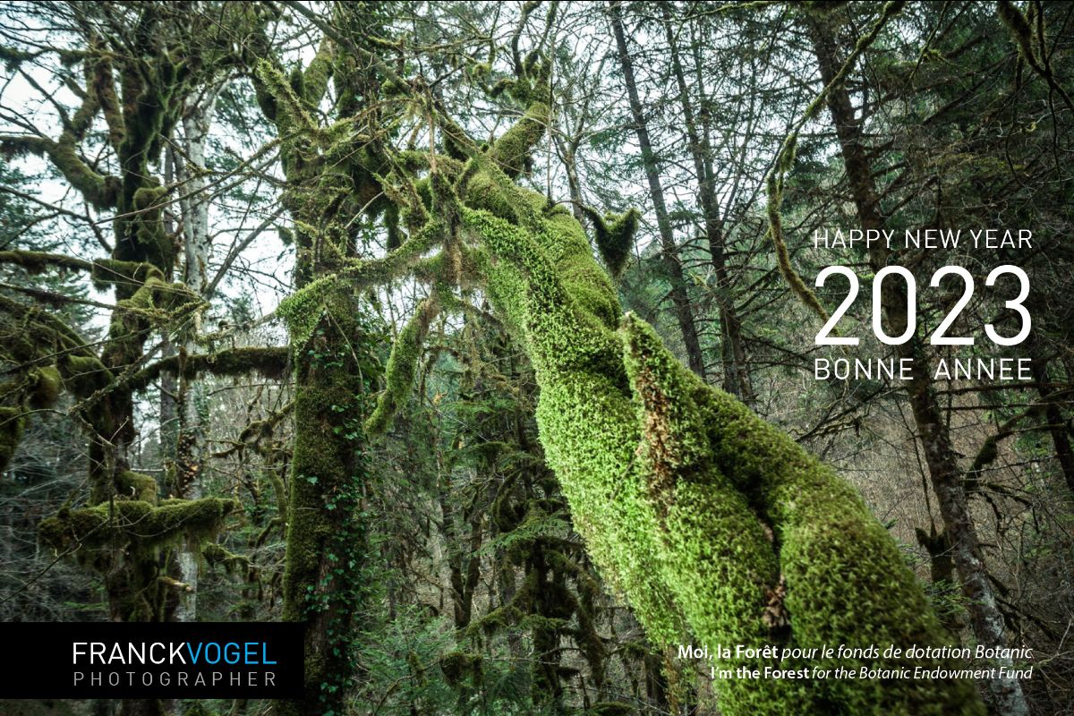 Excellente Année / Happy New Year 2023 - mailchi.mp/ba480819bbc2/4…