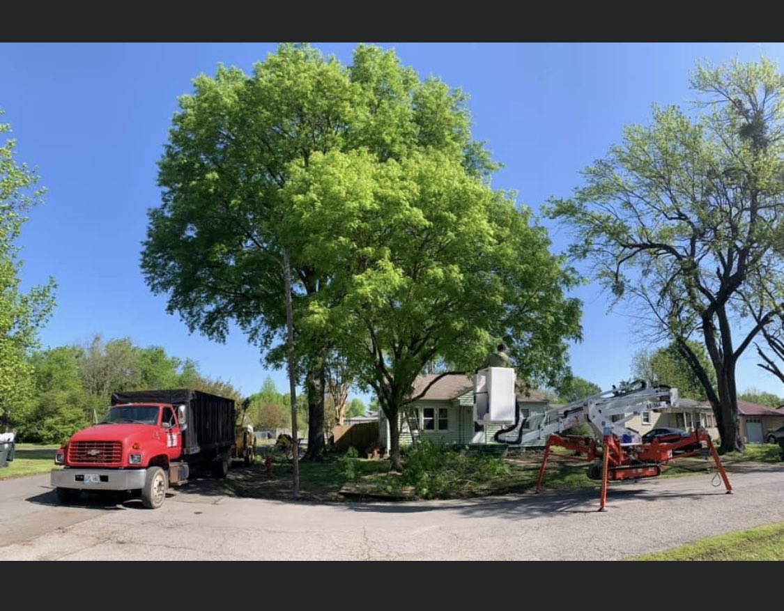 T_M_TreeService's tweet photo. CALL TODAY FOR A FREE ESTIMATE ON TREE REMOVAL! 918-521-8581
#StormDamage #EmergencyService
#treeservice #treeremoval #treetrimming #treeshaping #stumpremoval #stumpgrinding #ForestryMulching #landclearing #crownreduction #commercial #residential #insuredandbondedl https://t.co/HlcTuOo1yH