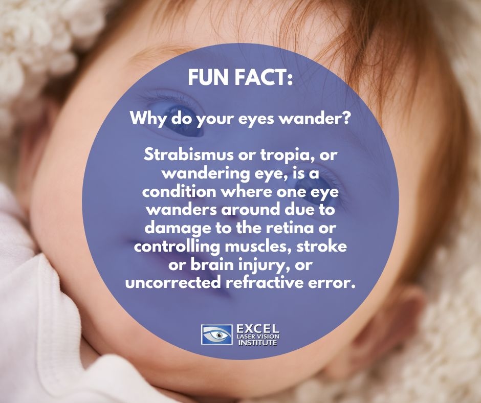 Excel_Eye's tweet photo. Why do your eyes wander?
Strabismus or tropia, or wandering eye, is a condition where one eye wanders around due to damage to the retina or controlling muscles, stroke or brain injury, or uncorrected refractive error.
#eyefacts #bettereyehealth #improveeyehealth #funeyefacts https://t.co/Vodjq8z2k1
