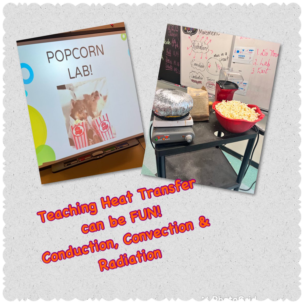 Edible labs are always fun!