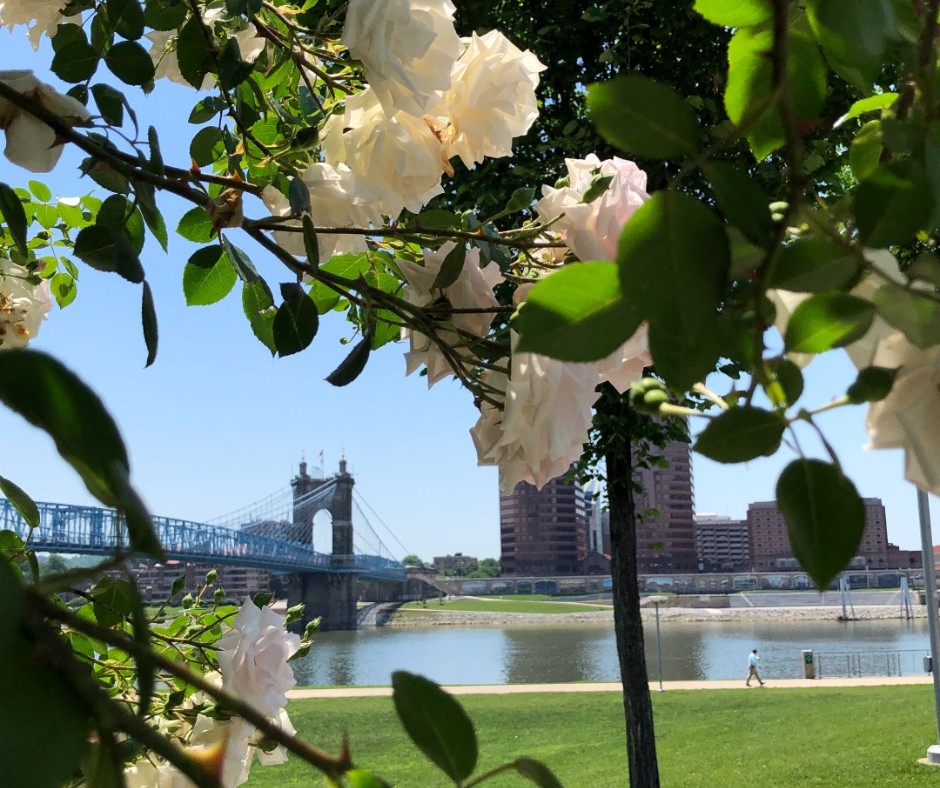 Cincinnati Parks tweet media
