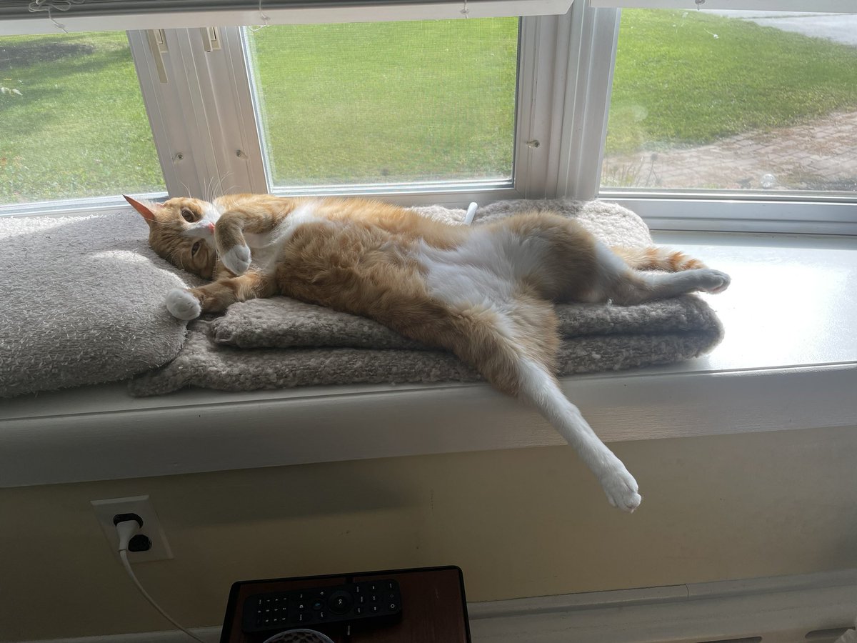 ModernMedieval Voices tweet media