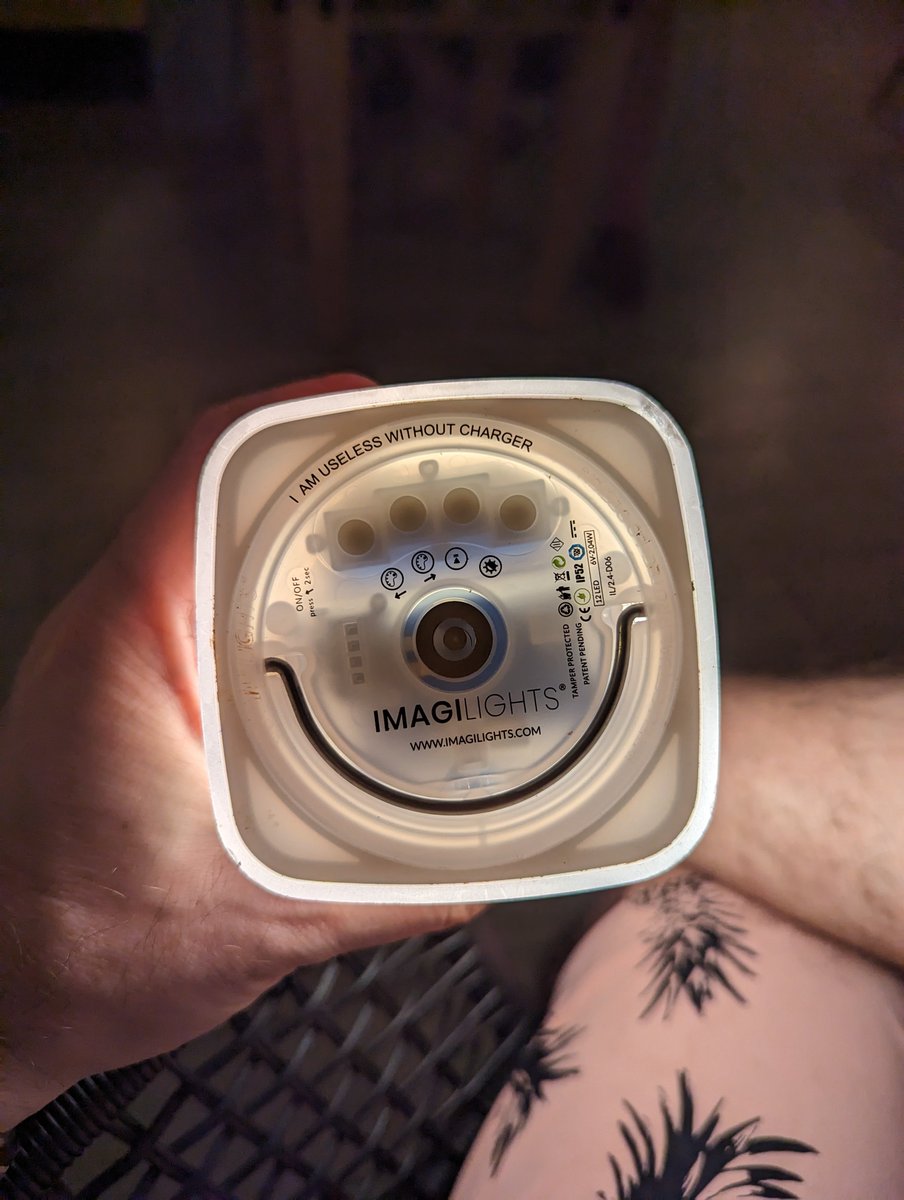 Bryson 🦄 tweet media