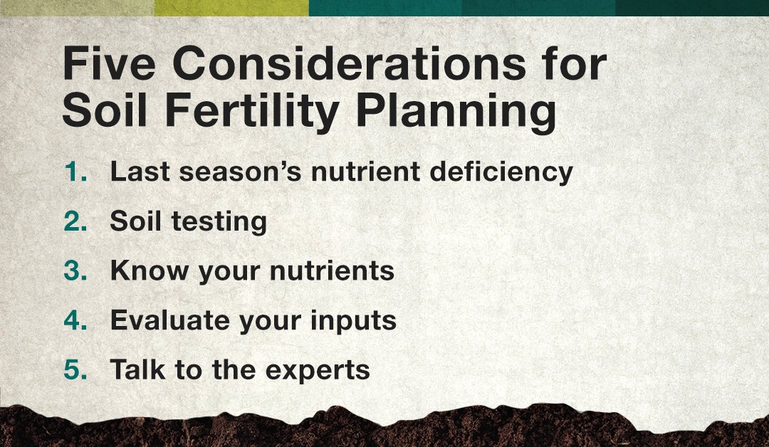 Channel Seed tweet media