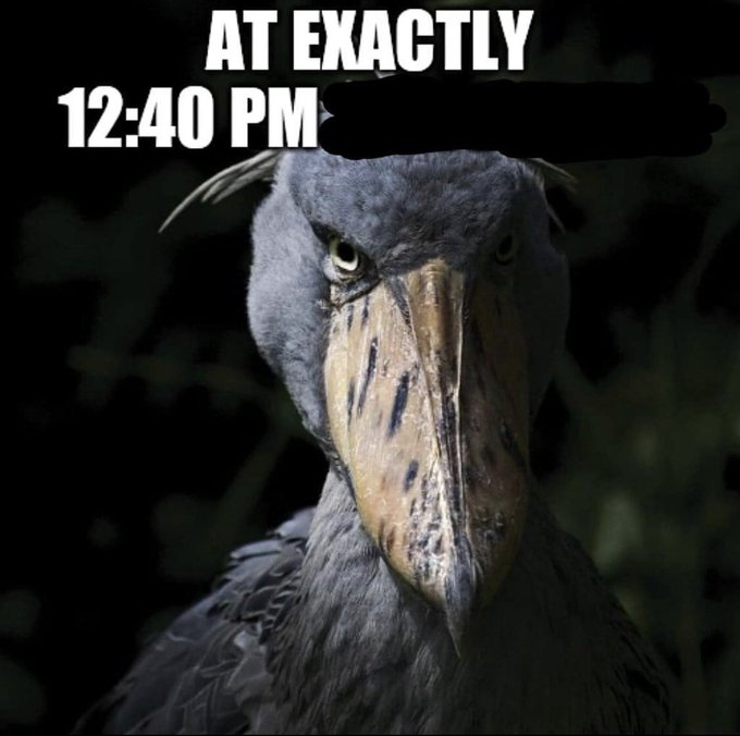 Jakeebra1's tweet image. 