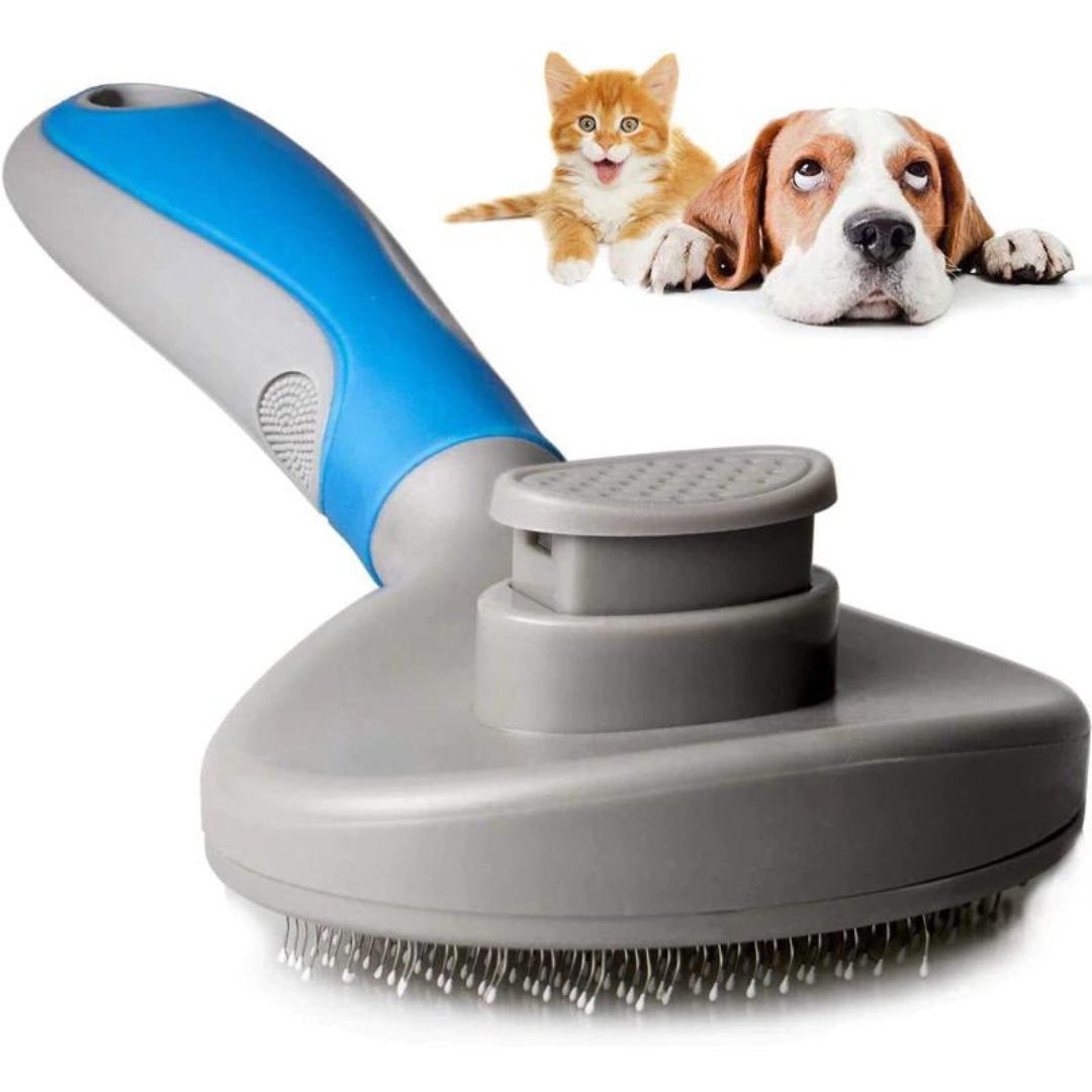 swancook2's tweet photo. Pets Grooming Brush for Dog
#pets #dogs #petsupplies #petaccessories #petlovers #petbrush 

Pet store... https://t.co/LVR92e8SgW https://t.co/rn51f0OAz9