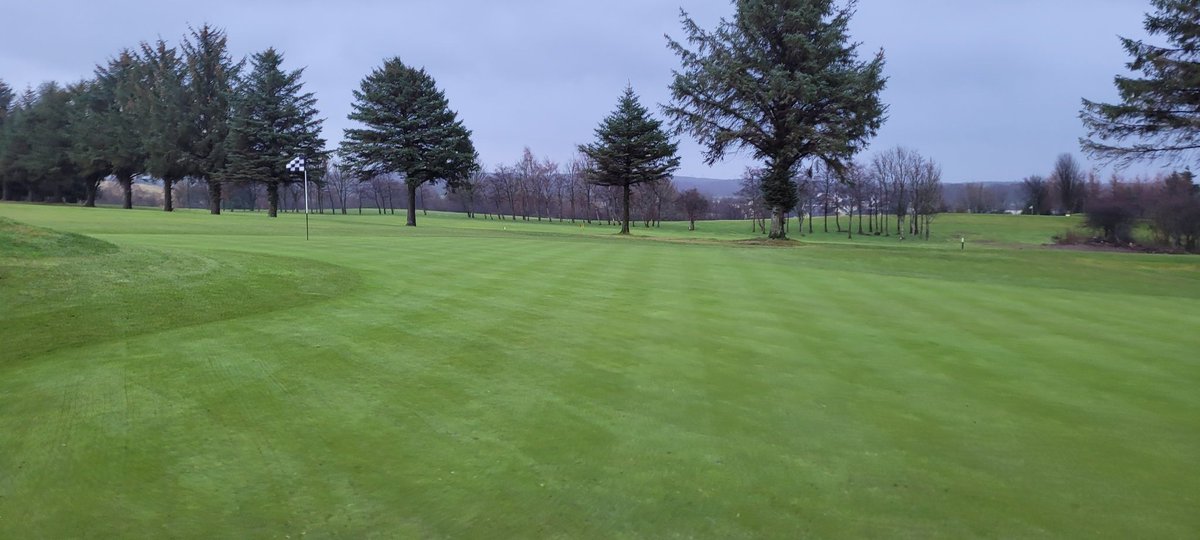 Sammccalla90's tweet photo. Getting the first pass in of greens and approns nice and early with the graden followed by a blow ans cut #firmer #faster @IanScottRT
@greenkeeper1982 @TraynerBruce https://t.co/RiWPEFLeeS
