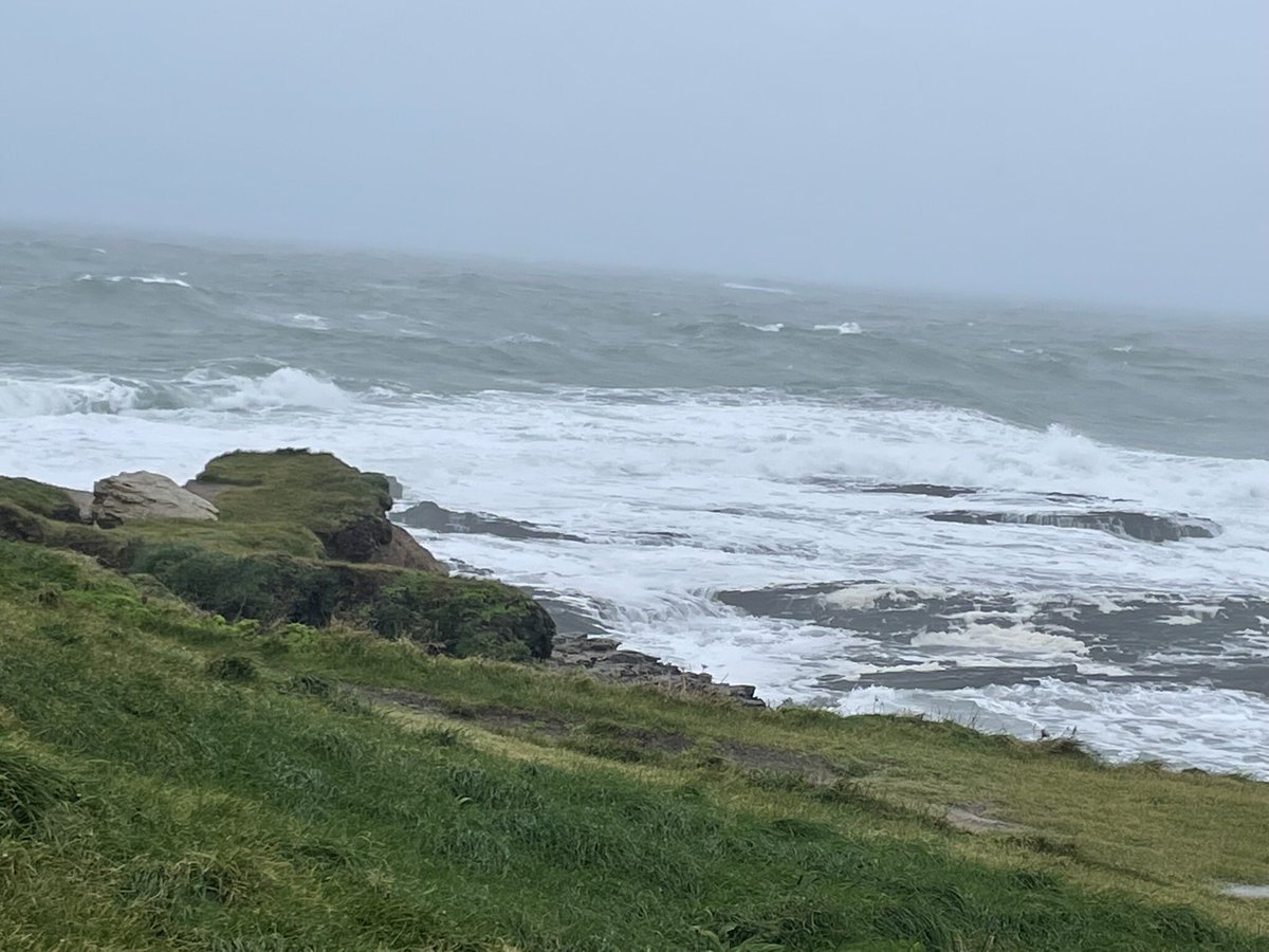 Jacqui07108033's tweet photo. #100daysofwalking #cardiacrecovery #round3crew
Day 7 was a blustery day by the coast. Had a windy walk around Hook head to Slade harbour. Wild but great to clear the cobwebs 💕💕 https://t.co/gtHuEKLMUK