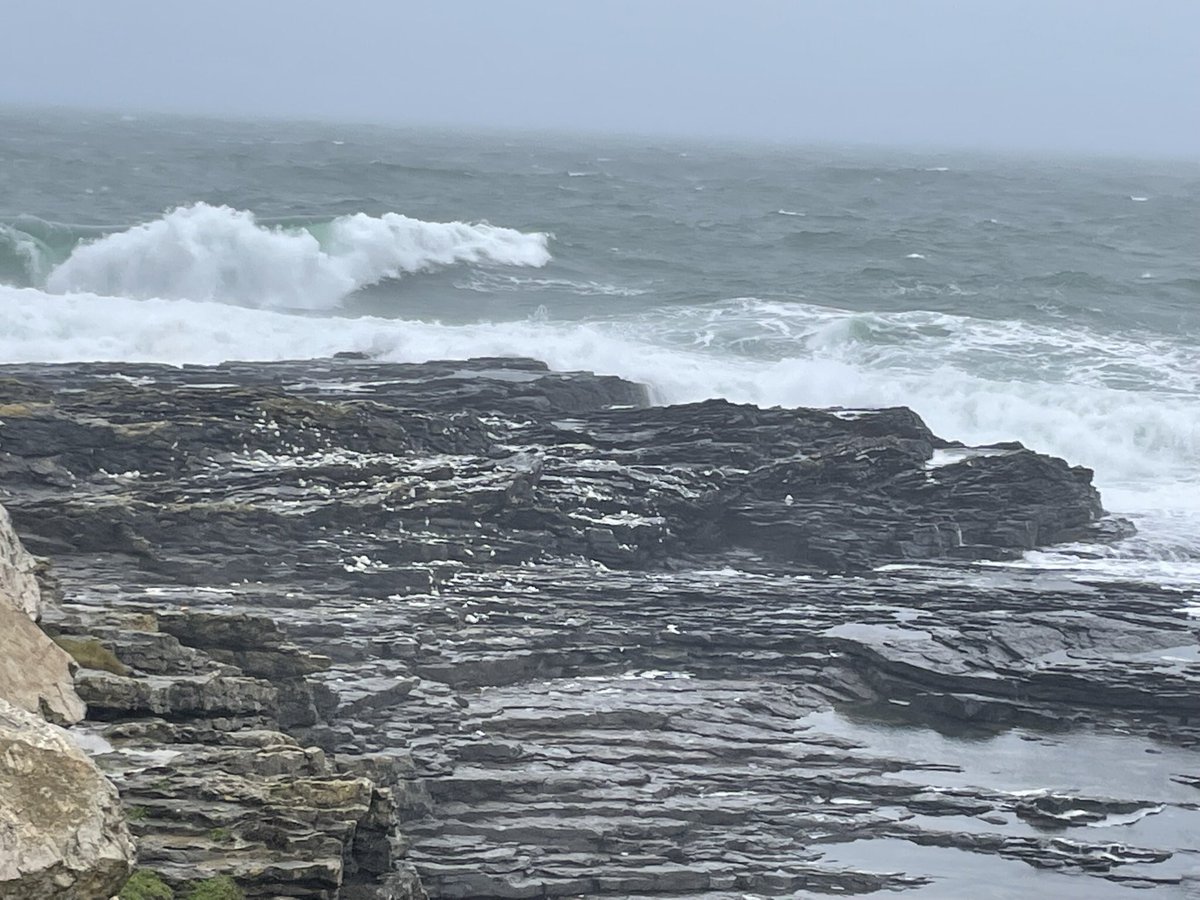 Jacqui07108033's tweet photo. #100daysofwalking #cardiacrecovery #round3crew
Day 7 was a blustery day by the coast. Had a windy walk around Hook head to Slade harbour. Wild but great to clear the cobwebs 💕💕 https://t.co/gtHuEKLMUK