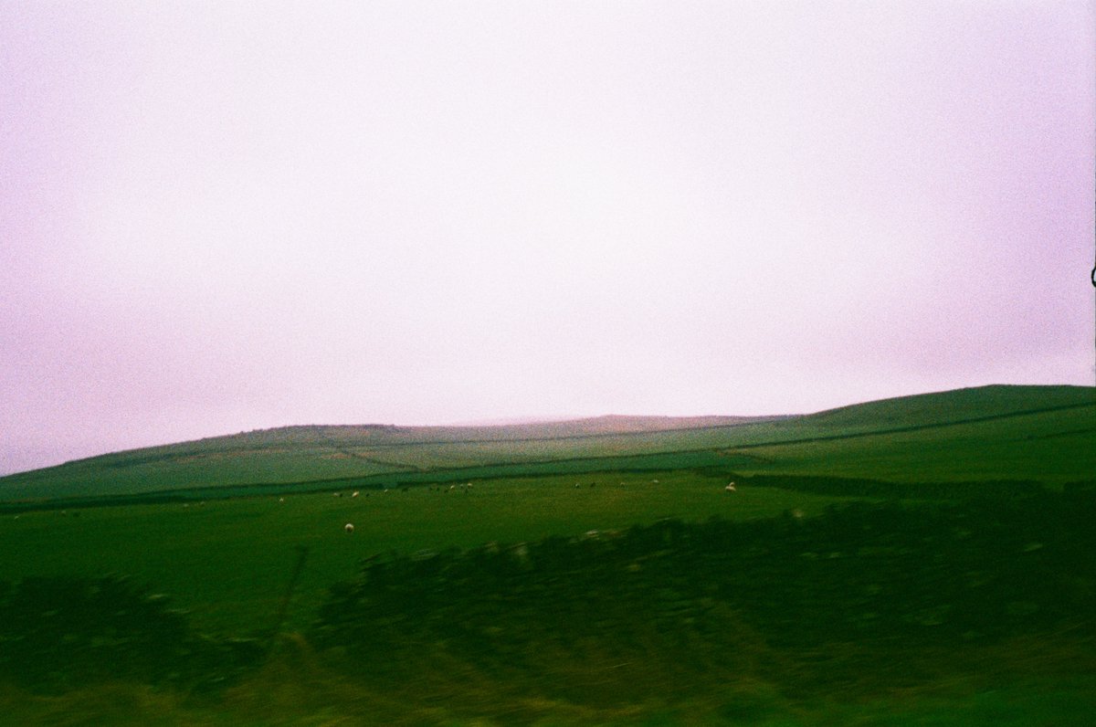 wallen_visuals's tweet photo. Cross processed expired 35mm film. #35mm #crossprocessed https://t.co/IBWV0gcveH