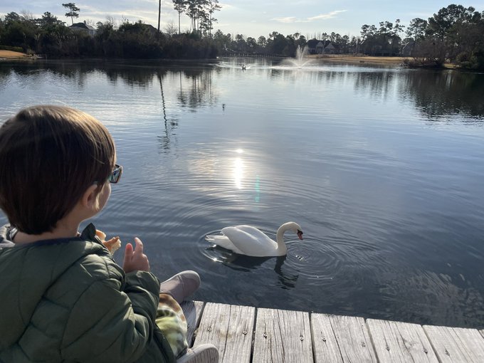 Happiness. https://t.co/LLdMqsjHlQ