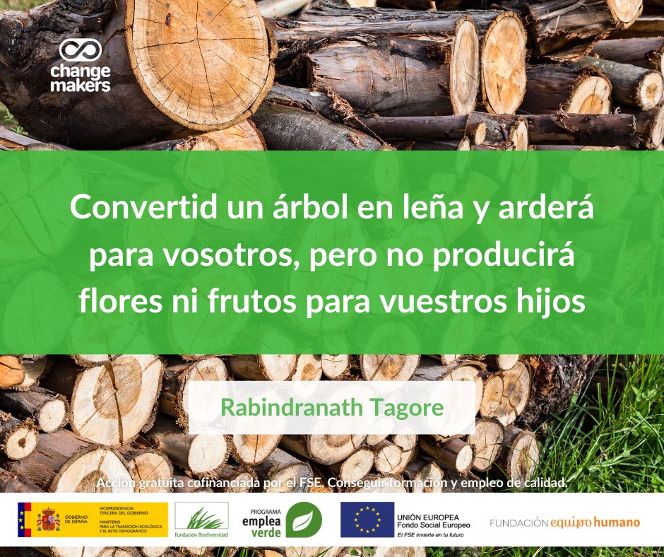 soychangemaker's tweet photo. Hay que dejar atrás las soluciones cortas y comenzar a pensar a largo plazo.

Change Makers, acción gratuita cofinanciada por el FSE.
Conseguir formación y empleo de calidad.

#ecologia #medioambiente #cambioclimatico #fundacionbiodiversidad https://t.co/dV9KNgmCkP