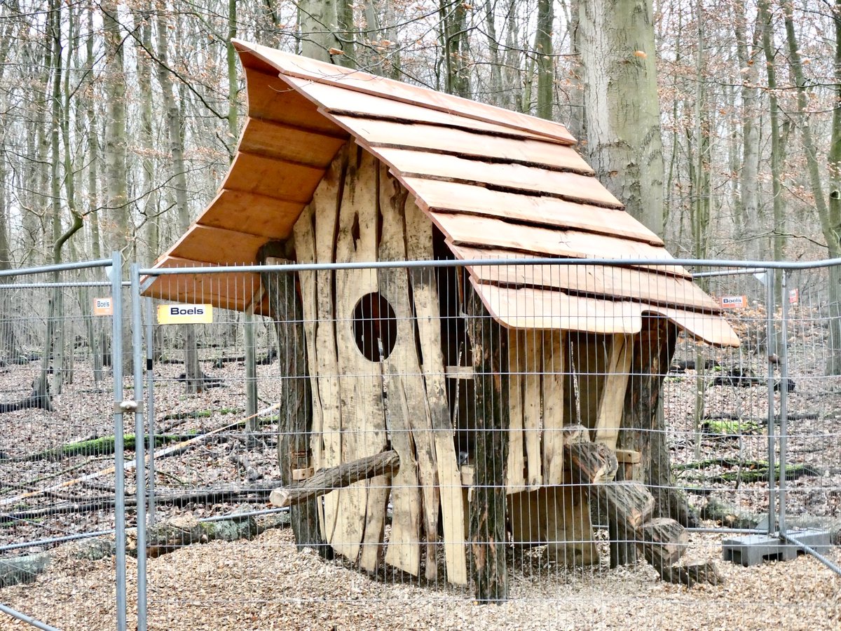 In het Bos wordt een parcours voor kinderen aangelegd met natuurlijke, speelse elementen, met o.a. dit huisje.

#amsterdamsebos #amsterdam #amstelveen #huisje #kinderen #hout #spelen #vriendenamsterdamsebos #wordvriend