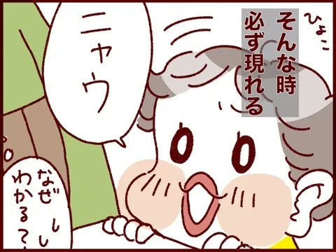 【 #過去記事紹介 】 猫が飼いたい欲が再燃した理由。 

https://t.co/C64XcVaa5h 

おたべさん(@otape0711)元気かなぁ〜?

 #フランダースの三姉妹 
#三女 #3歳 