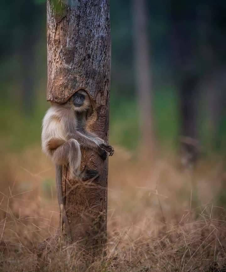 تكيّف .. التكيّف لا يعني الاستسلام ، بل ان تستفيد من ظروفك بشكلٍ يفيدك ❤