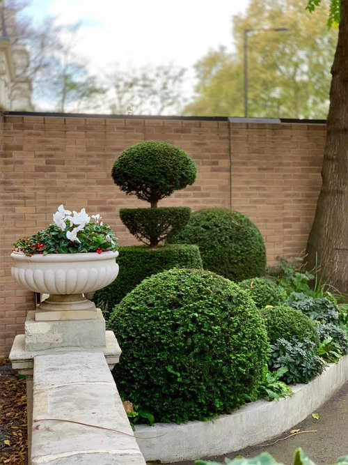 AAGardeners's tweet image. Long-term pruning at the hands of specialists such as Alaster Anderson is vital in a sophisticated garden where every element has been considered and each specimen works in relation to those around it.

#pruning #pruningtips #pruningtime #pruningtrees #pruningseason #topariary