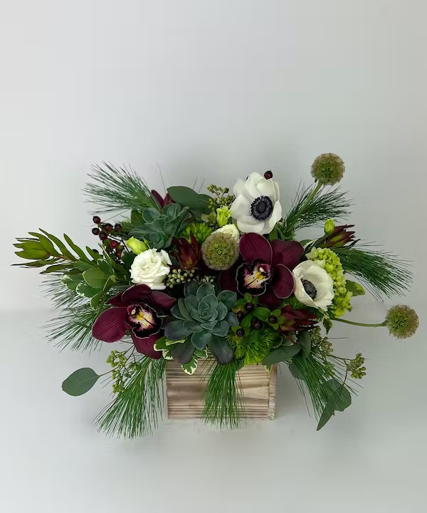 radebaughs's tweet photo. A forest-like wintery mix makes up this stunning arrangement, Flora and Fauna!
Flowers include panda #anemones, #scabiosa pods, #safari sunset, #orchids, #succulents, & mini green #hydrangea.
#radebaughs #greenhouses #freshflowers #familyflorist #samedaydelivery https://t.co/OUp7MRpXzf