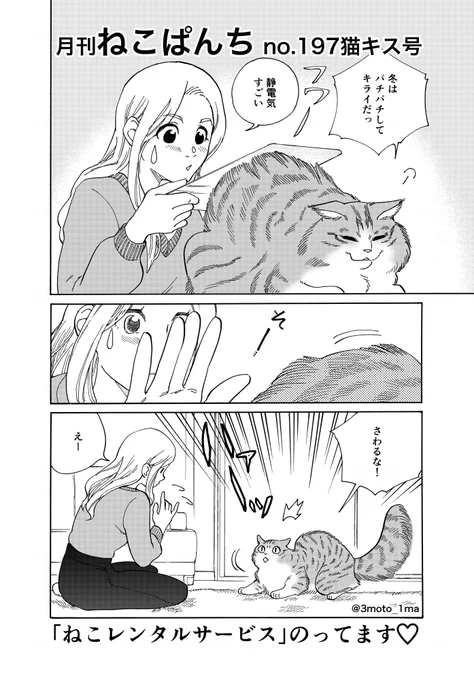 ねこぱんち発売でーす♡
お求めはコンビニ・書店・駅売店でどうぞ! 