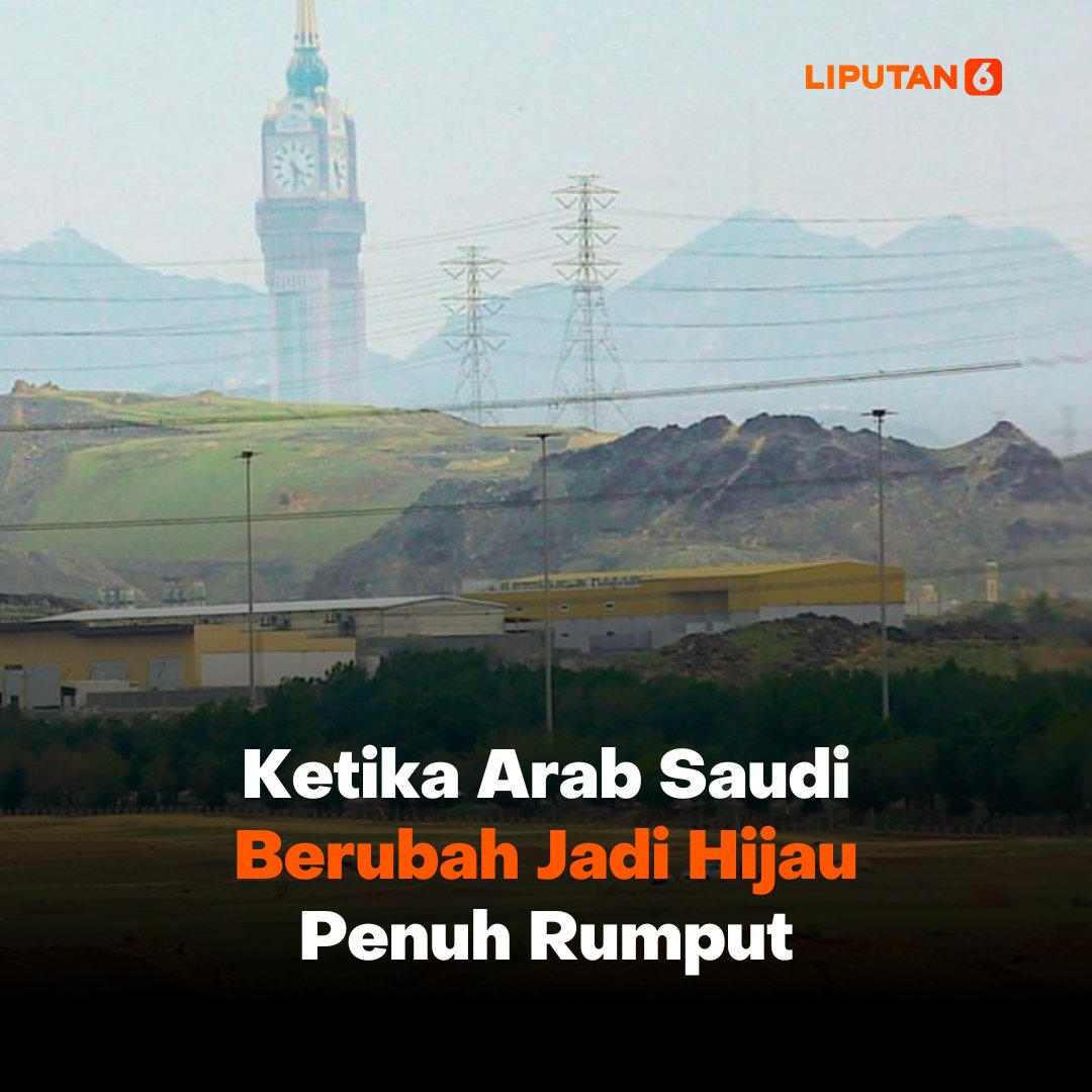 liputan6dotcom's tweet photo. Arab Saudi yang kita ketahui biasanya identik dengan pegunungan gurun yang tampak gersang🏜️

Namun baru-baru ini internet dihebohkan dengan penampakan barisan bukit hijau di beberapa wilayah Arab Saudi pada awal Januari.

Fenomena apakah ini?😱 Mari kita bahas di #Liputan6Thread! https://t.co/2rRzPoboUU