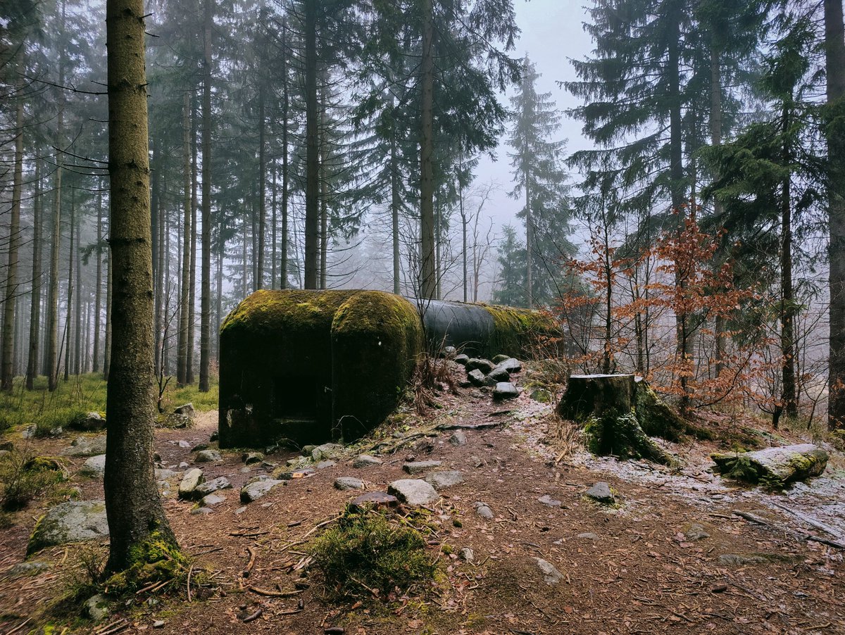 Liandrium's tweet image. Shot on OnePlus 9 Pro
#OnePlus #NaturePhotography #oneplus9pro