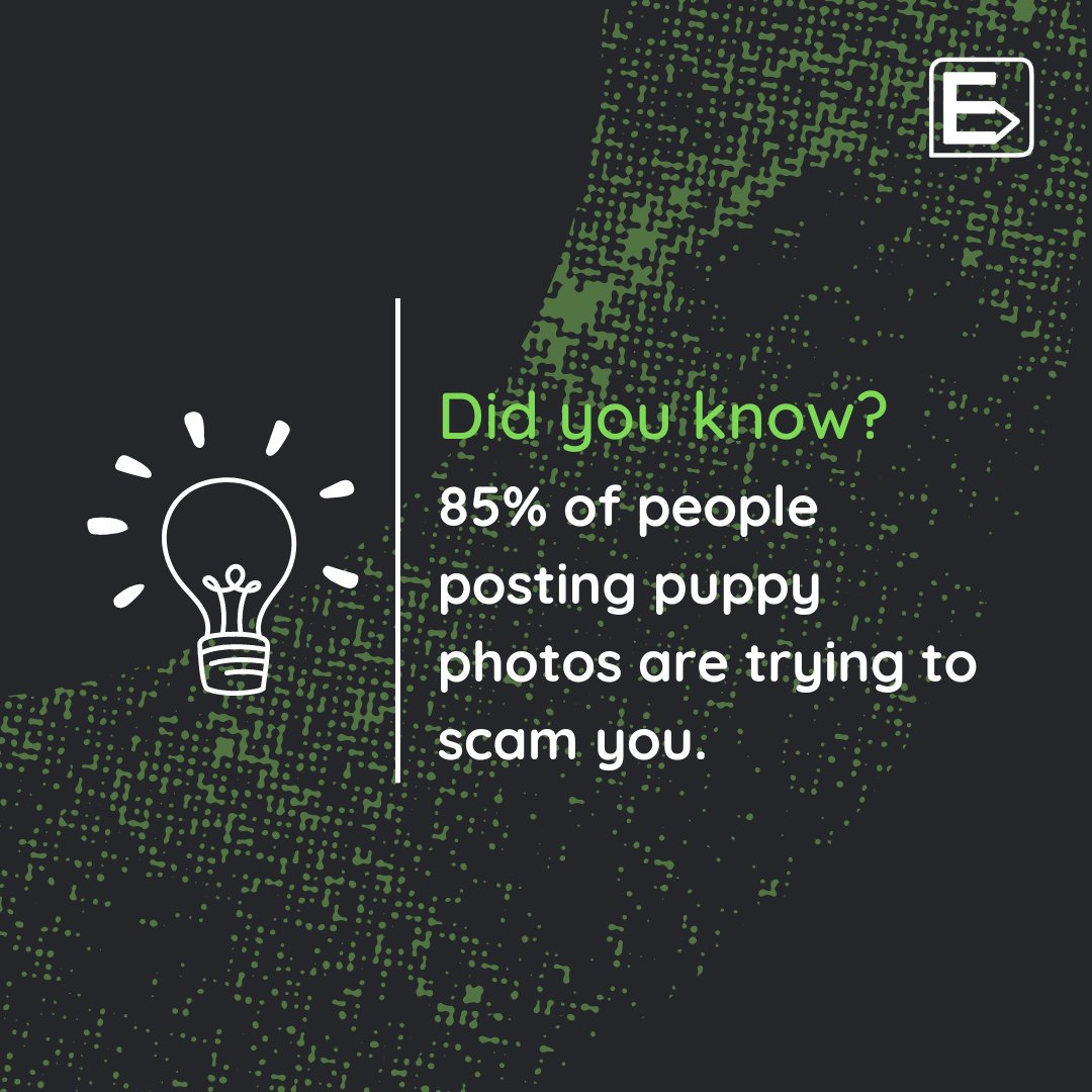 ever_blogs's tweet photo. STAT_4: Did you know 85% of people posting puppy photos are trying to scam you
https://t.co/ld6MWrPpsm

#cybersecurity #hacking #technology #security #hacker #programming #tech #linux #coding #infosec #python #programmer #cyber #ethicalhacking #kalilinux #computerscience #hackers https://t.co/07GbGOZnQV