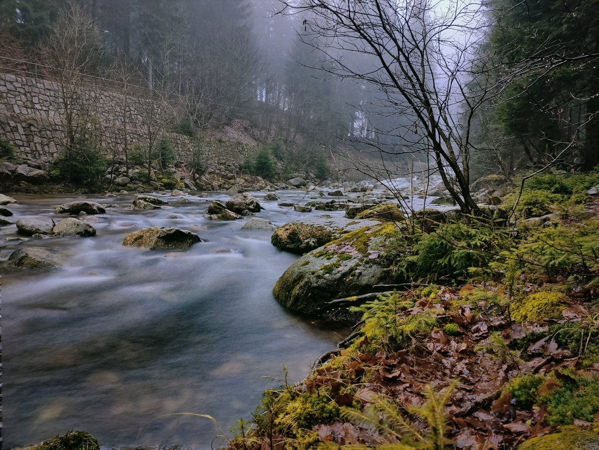 Liandrium's tweet image. Shot on OnePlus 9 Pro
#OnePlus #NaturePhotography #oneplus9pro