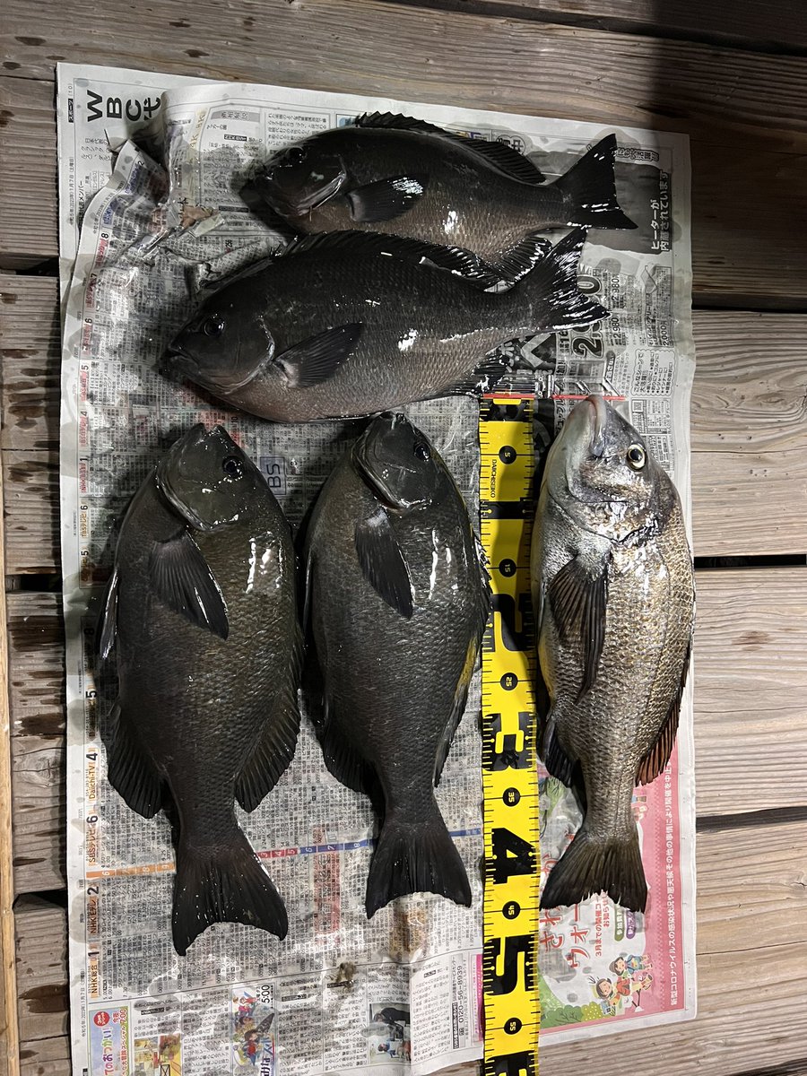 PowerWattyo's tweet photo. 昨日成人式を迎えた甥っ子へ、
色違いだけど、タイをプレゼント🤣
久々の40オーバー✌️ https://t.co/lk2AyDJTA1