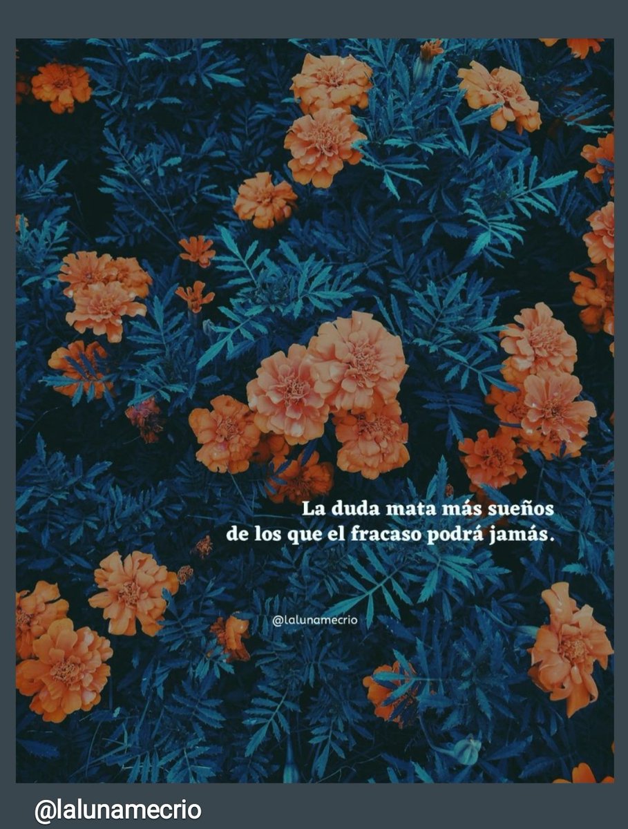 ValeriaVitcha's tweet photo. Buen día para todos!💪❤️
#lunesdeganarseguidores. https://t.co/6enSuxdKQ6