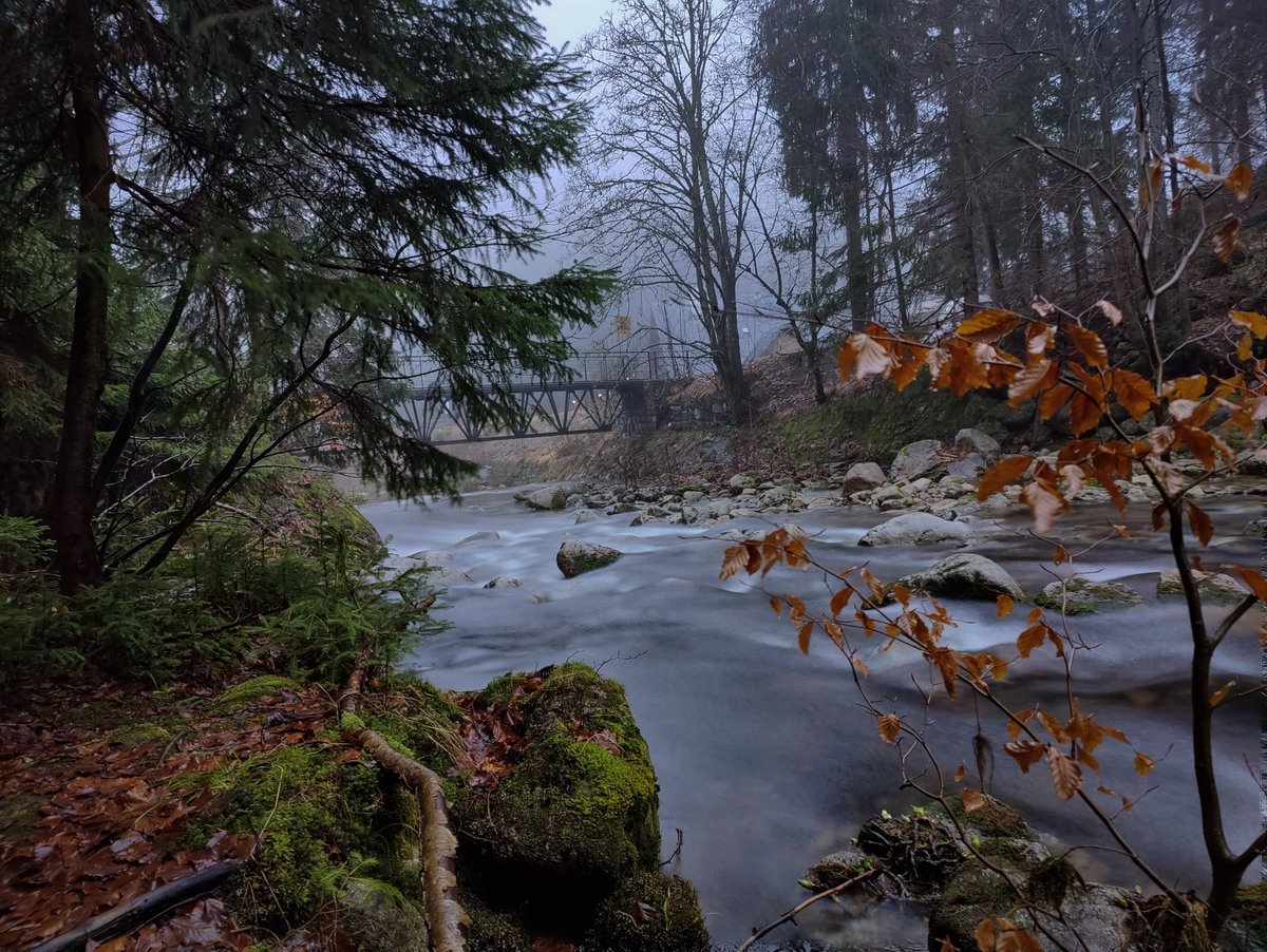 Liandrium's tweet image. Shot on OnePlus 9 Pro
#OnePlus #NaturePhotography #oneplus9pro