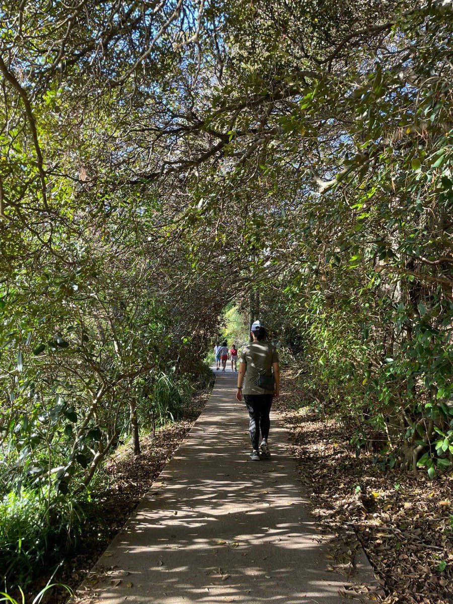 NJuffle's tweet image. walking through nature is my favorite
#nature