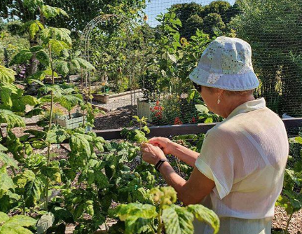 We have various events coming up soon that you might be interested in.

Visit our website to find out more about them (including WellnessNWellies and our Cooking Club):

sbee.link/vmathwuxnp